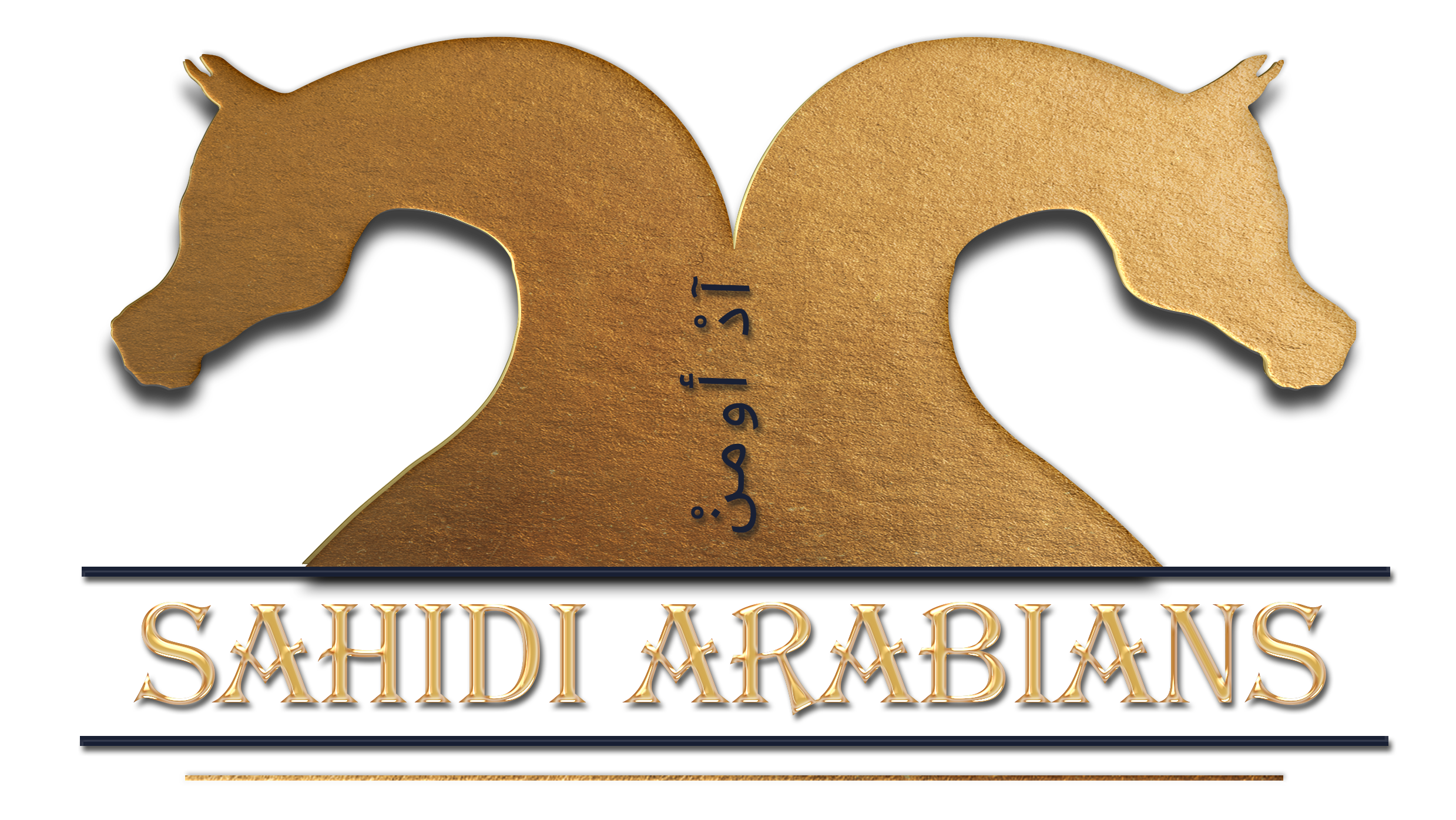 Sahidi Arabians
